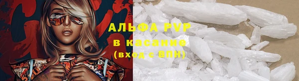 ПСИЛОЦИБИНОВЫЕ ГРИБЫ Беломорск