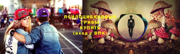 соль ск Белоозёрский