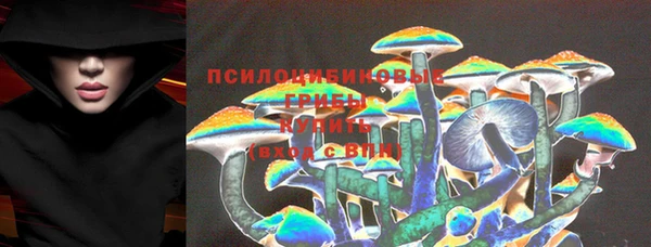 apvp Белокуриха