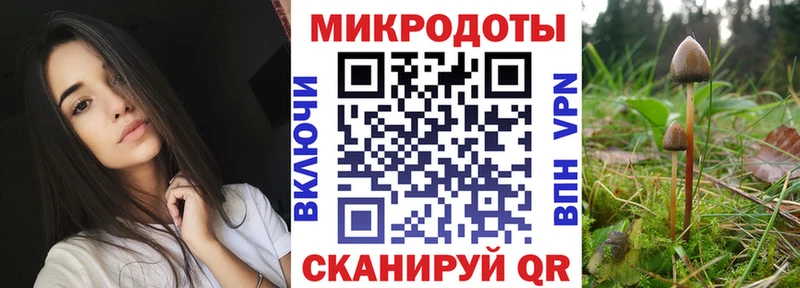 Псилоцибиновые грибы MAGIC MUSHROOMS  OMG маркетплейс  Дигора 